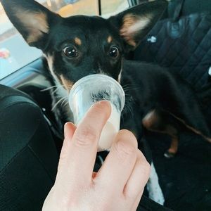 Meet your Posher, Mary